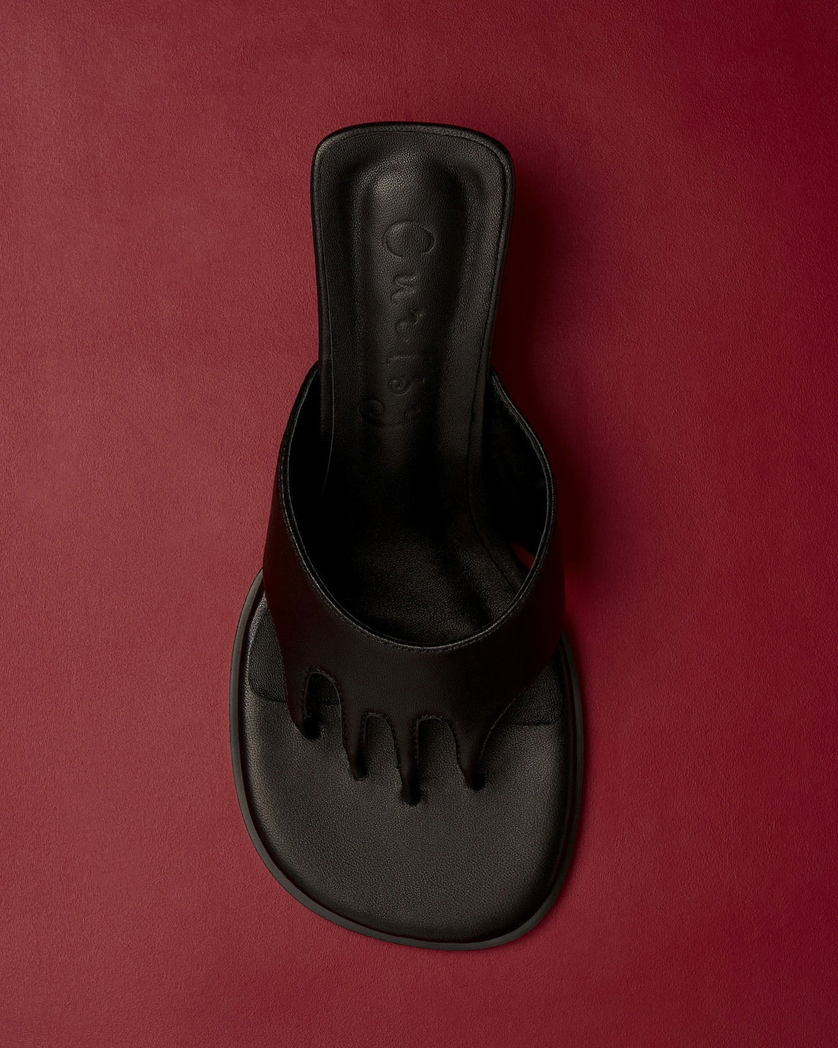 Curtsy Toes